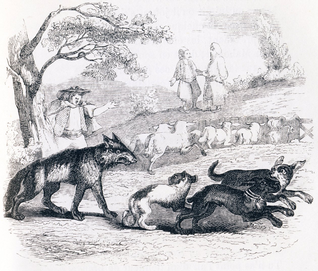 Der Bassa und der Kaufmann - Fabeln von La Fontaine von Grandville