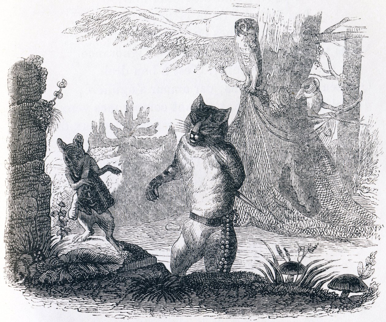Die Katze und die Ratte von Grandville
