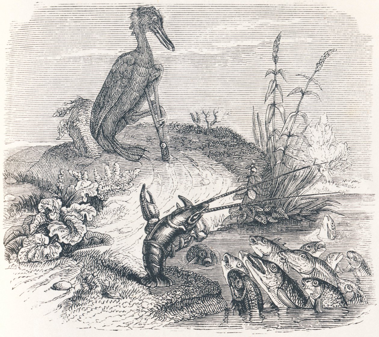 Die Fische und der Kormoran (Les poissons et le cormoran) - Fabeln von La Fontaine von Grandville