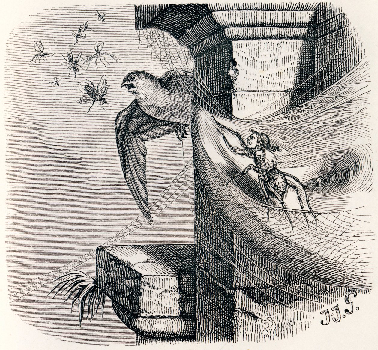 Die Spinne und die Schwalbe - Fabeln von La Fontaine von Grandville