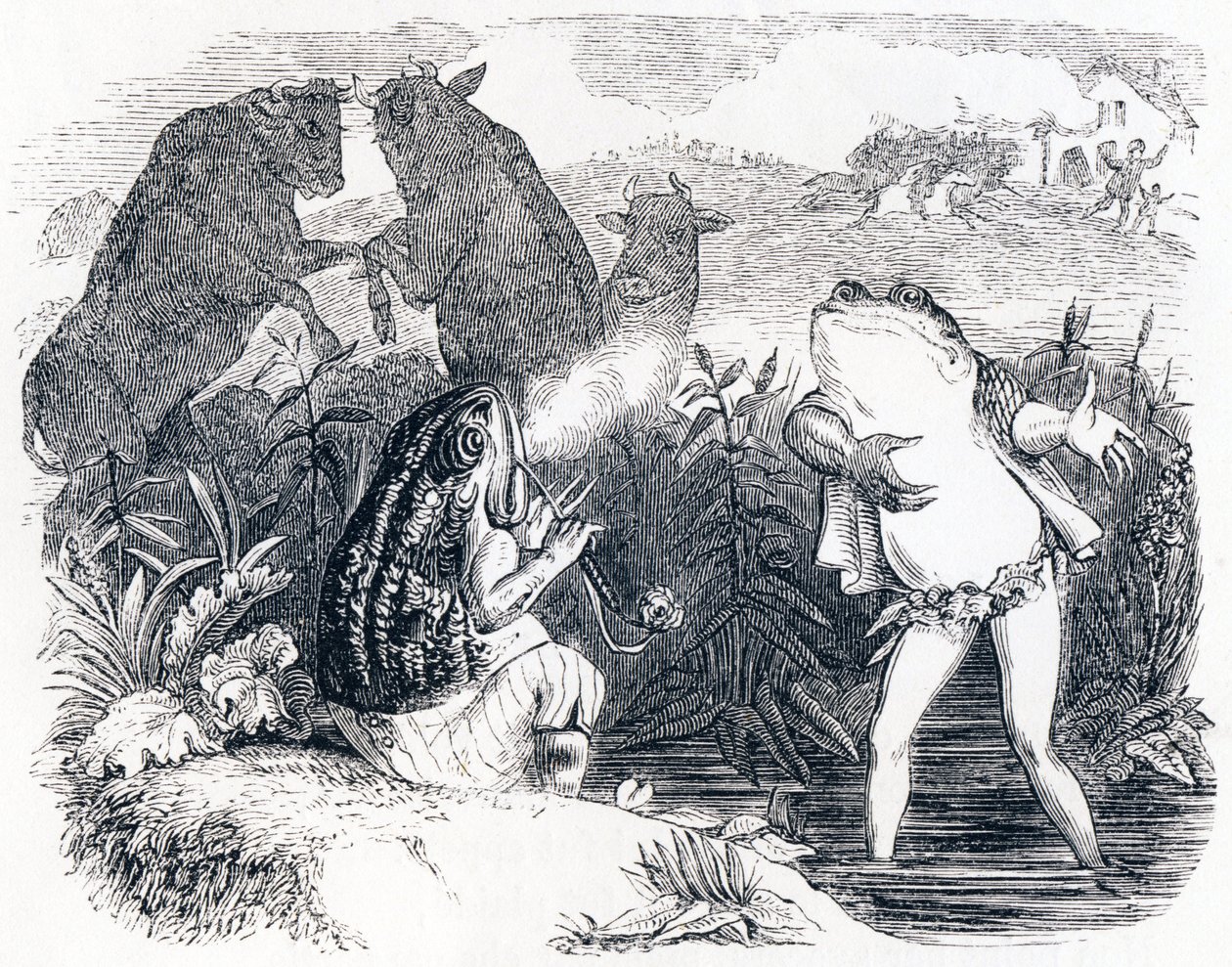 Die zwei Stiere und ein Frosch von Grandville