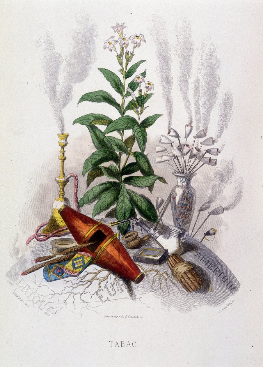 Tabakpflanze und Rauchutensilien - in „Animierte Blumen“ von Grandville von Grandville