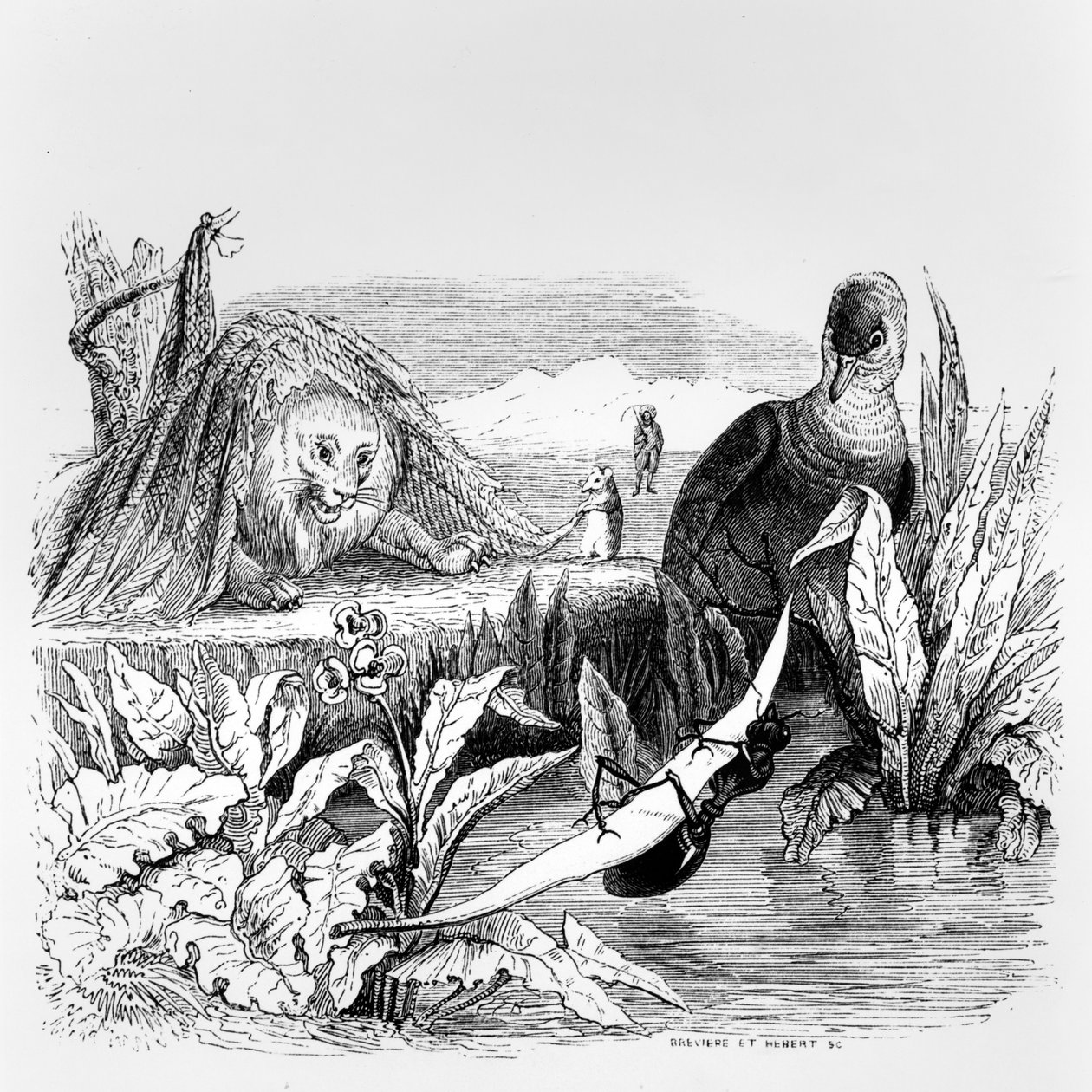Die Taube und die Ameise und der Löwe und die Ratte, Illustration für 
