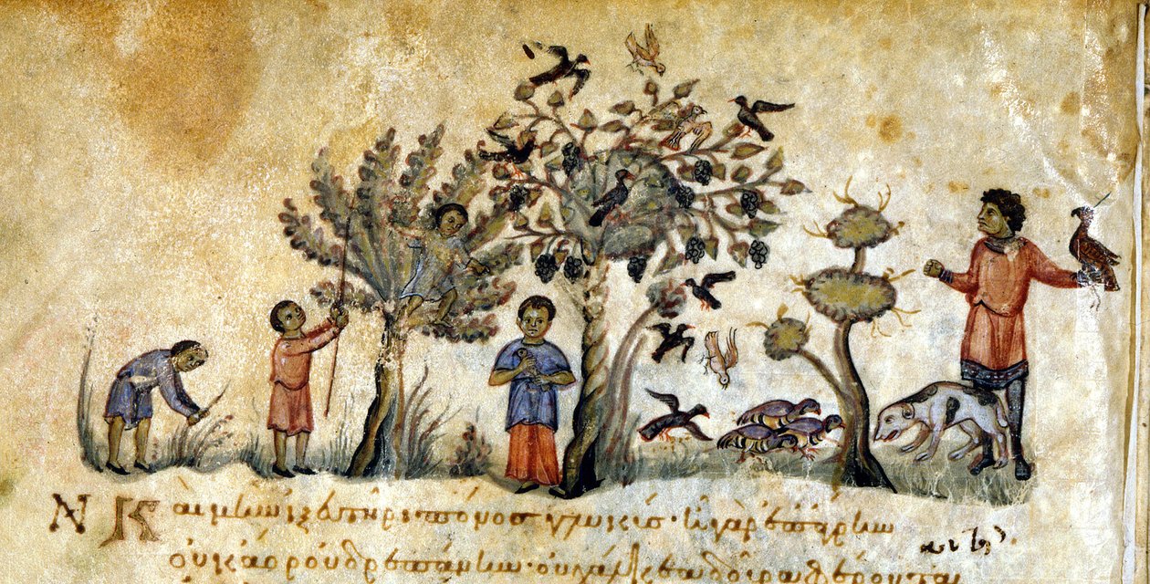 Falkenjagd zur Vogeljagd - in „De Venatione“ von Oppianus, griechisches Manuskript aus dem 13. Jahrhundert. Biblioteca Marciana. Venedig von Greek School