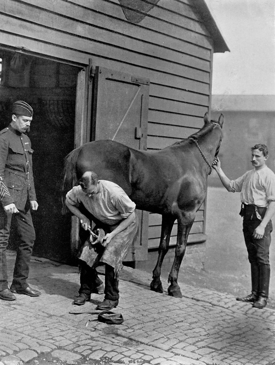 Der Hufschmied-Major der Royal Horse Guard von Gregory and Co