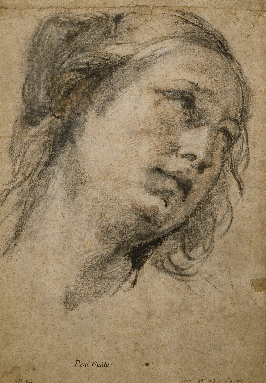 Kopf einer Frau, die nach rechts oben schaut von Guido Reni