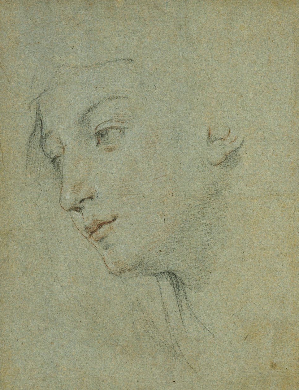 Der Kopf einer Frau, die nach links unten schaut von Guido Reni