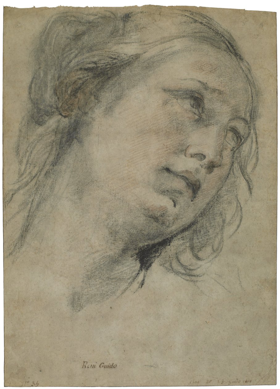 Der Kopf einer jungen Frau, die nach oben schaut, ca. 1609 von Guido Reni