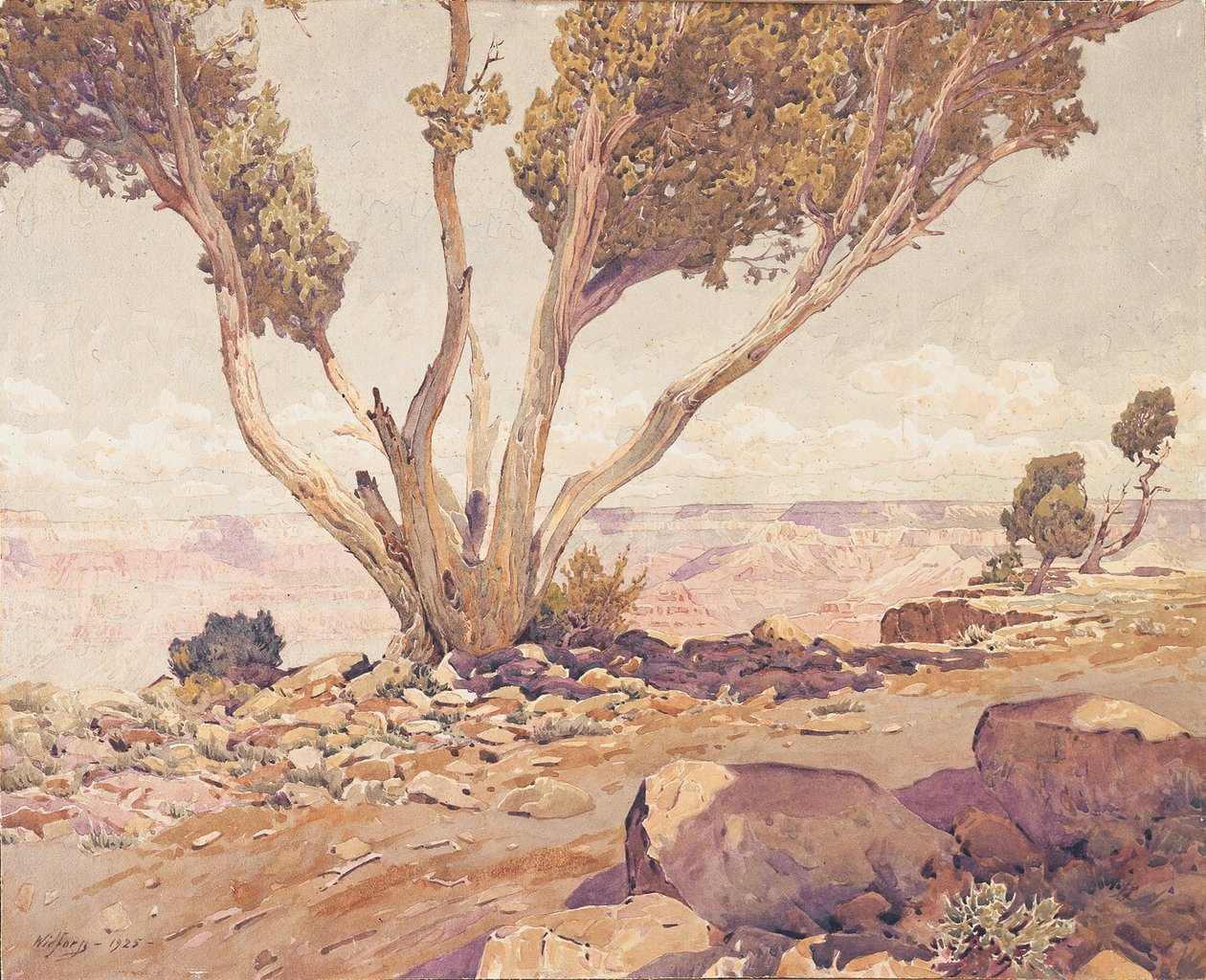 Grand Canyon von Gunnar Widforss