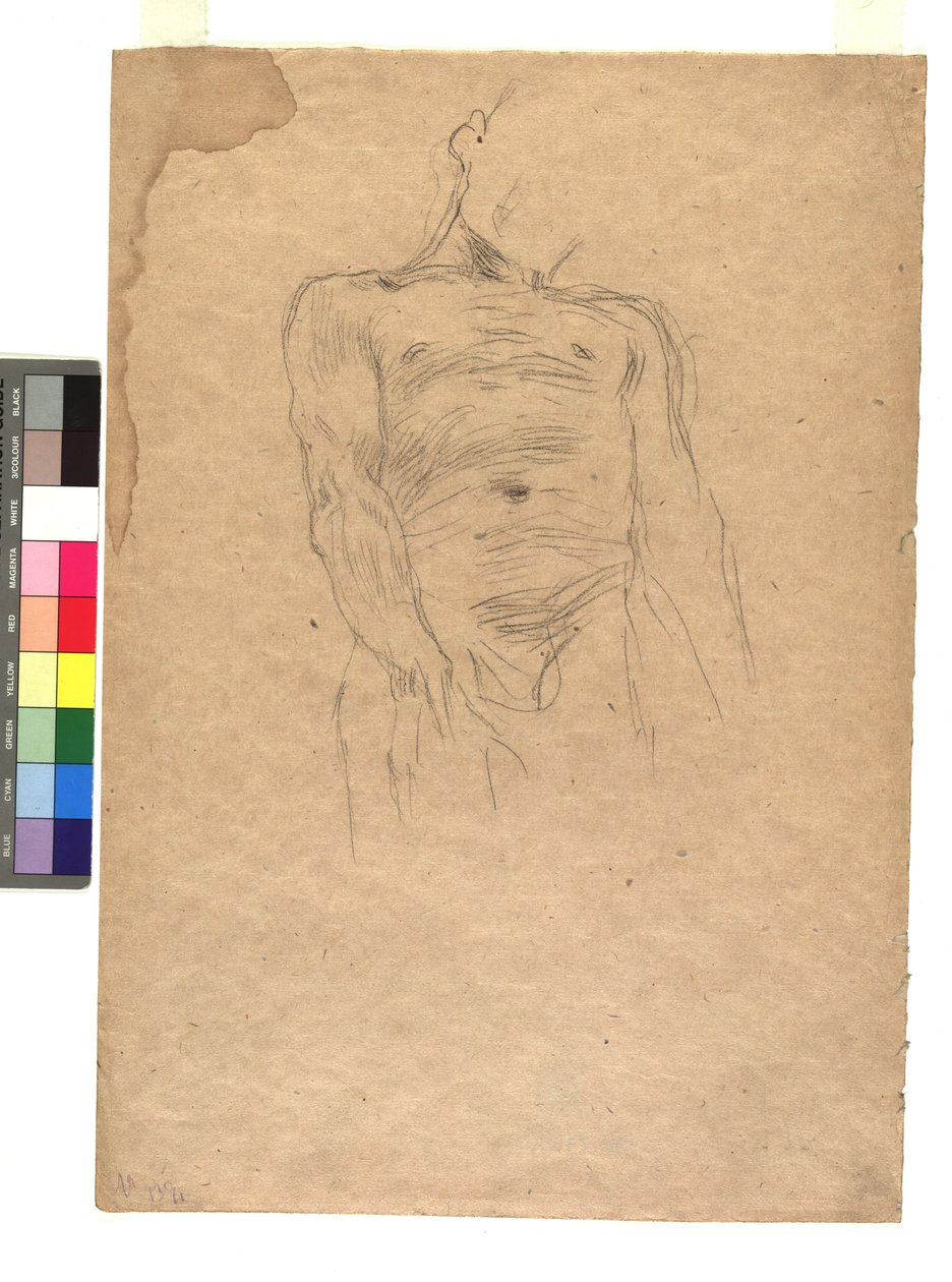 Männlicher Torso von Gustav Klimt