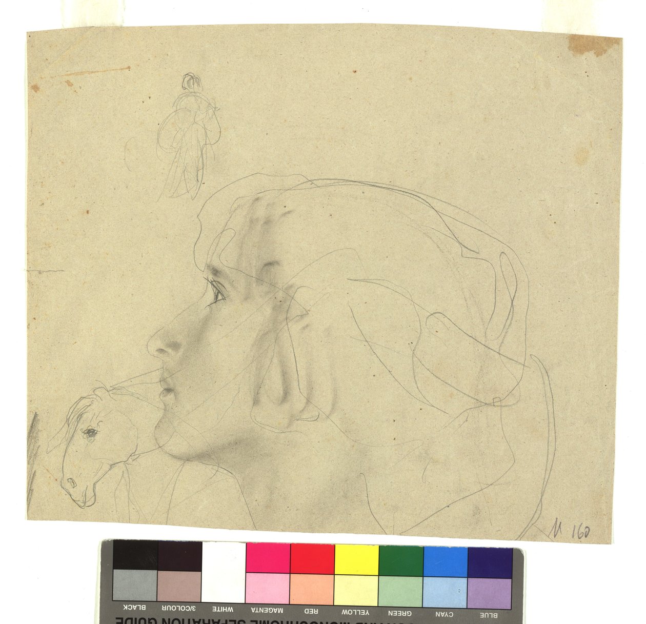 Weiblicher Kopf im Profil nach links, Pferdekopf im Profil, Figurenstudie von Gustav Klimt