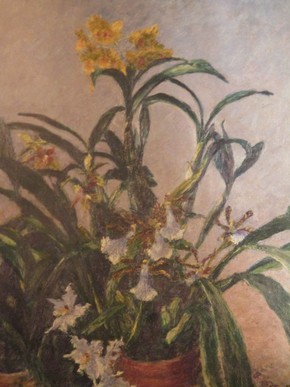 Gelbe Orchideen von Gustave Caillebotte