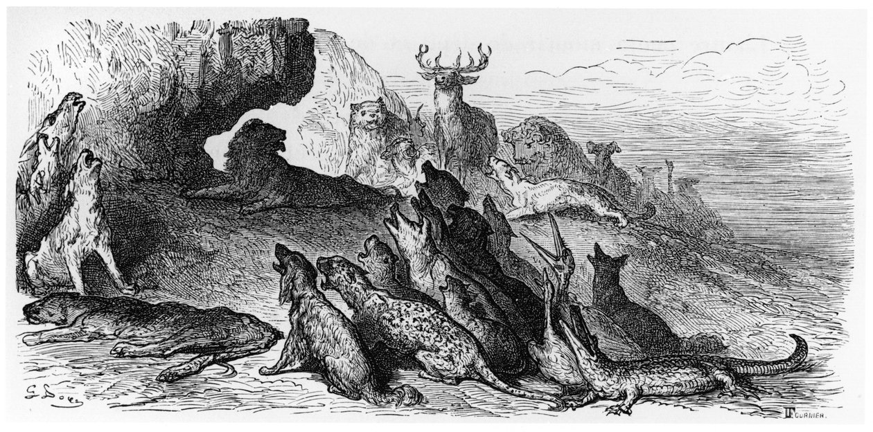 Das Begräbnis der Löwin, Illustration aus 