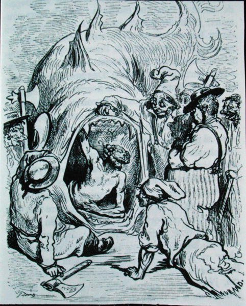 Illustration für 