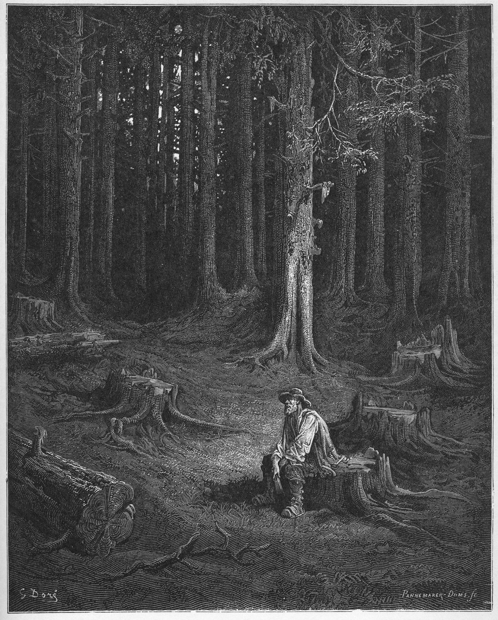 Der Wald und der Holzfäller - aus 