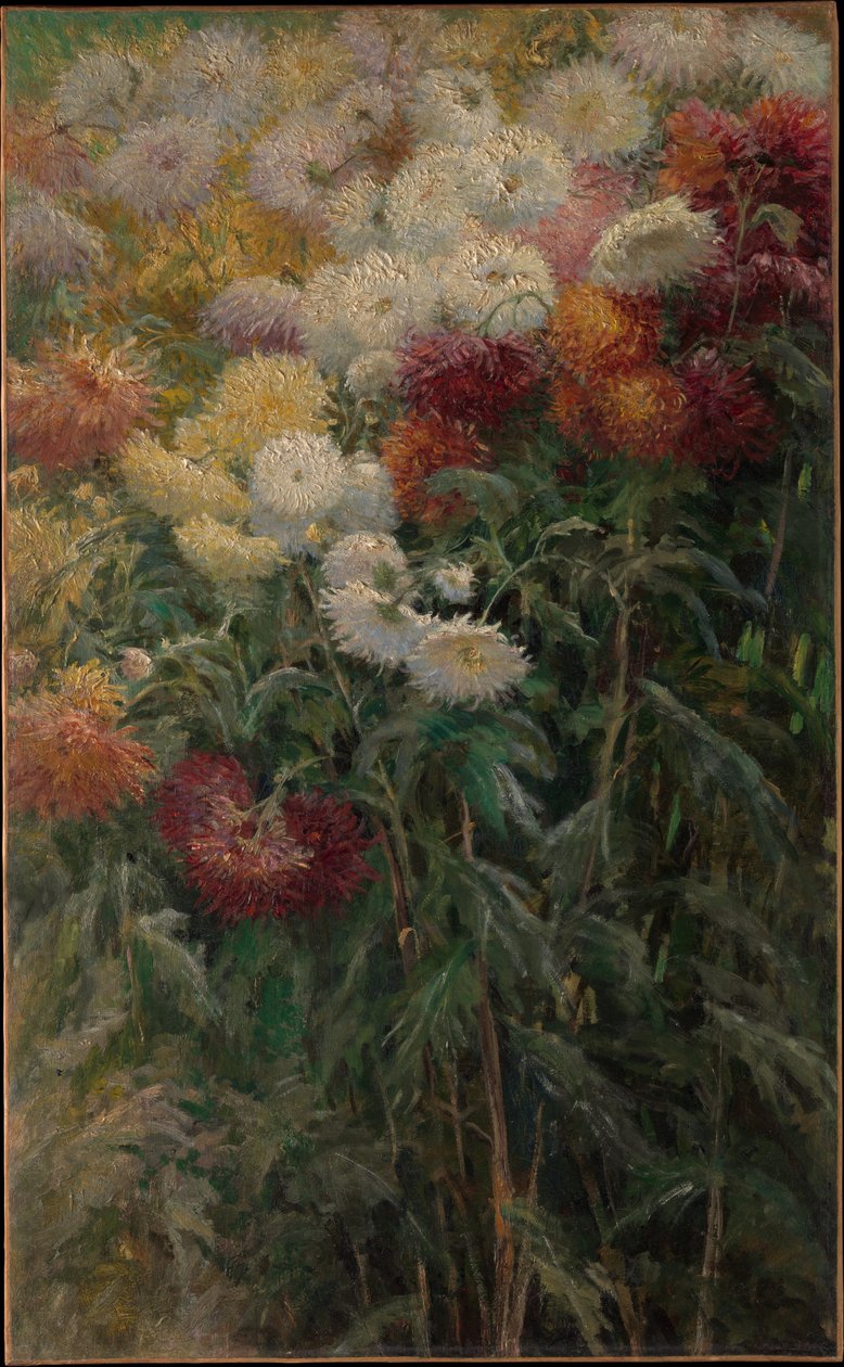 Chrysanthemen im Garten von Petit-Gennevilliers von Gustave Caillebotte