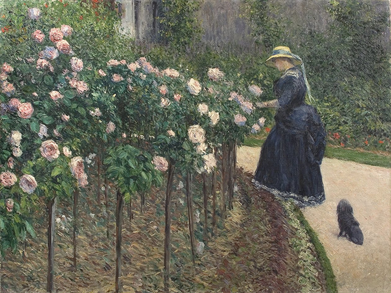 Rosen, Garten in Petit Gennevilliers von Gustave Caillebotte