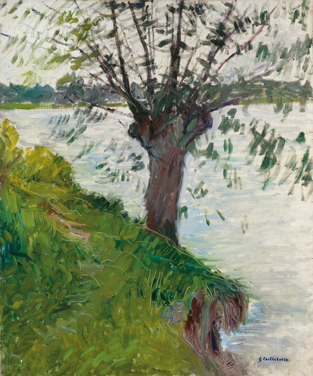 Weide am Fluss; Saule au bord de la rivière, ca. 1891 von Gustave Caillebotte