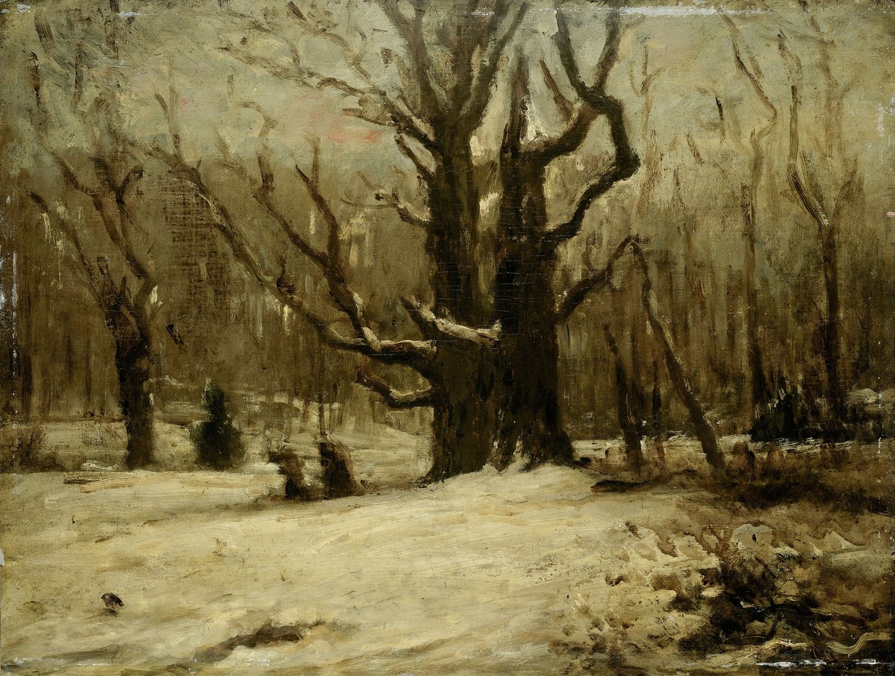 Winterlandschaft von Gustave Courbet