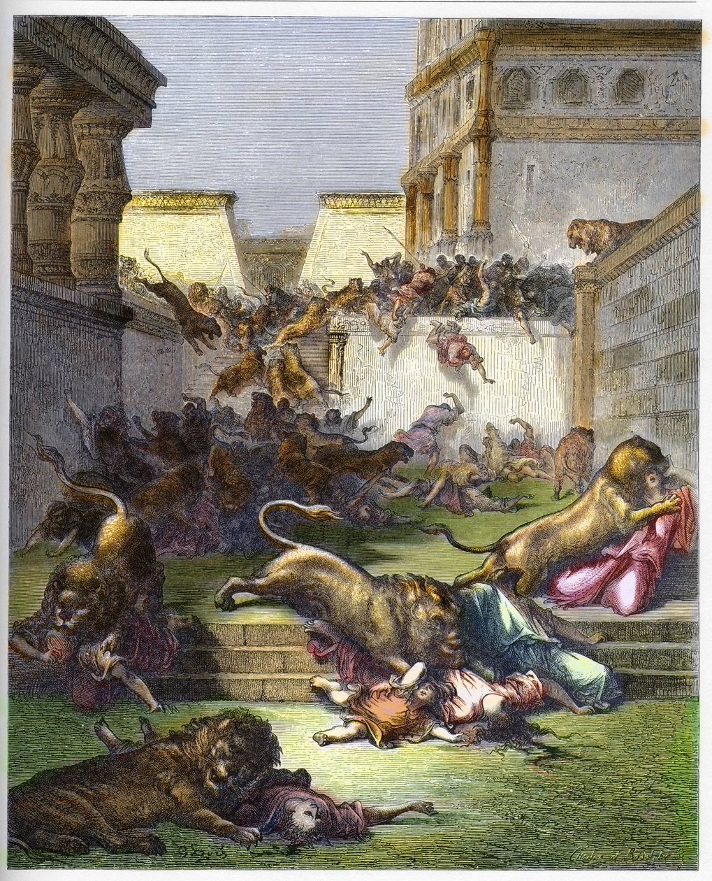 Fremde von Löwen in Samaria verschlungen - Altes Testament. Menschen von Löwen in Samaria verschlungen - Gravur in „Die illustrierte Bibel“ von Gustave Doré (1832-1883) von Gustave Dore