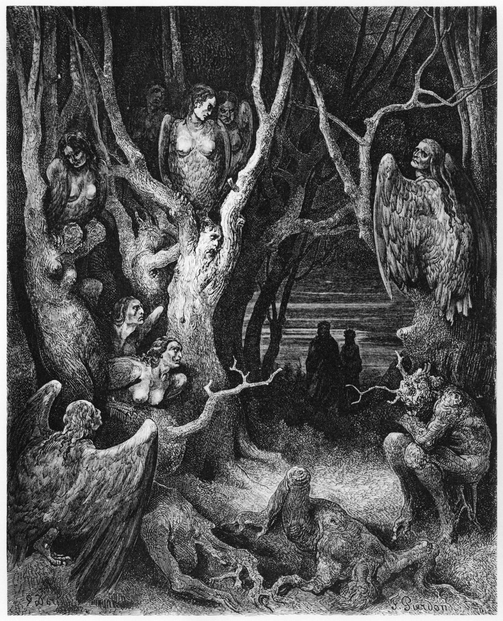 Harpien, Illustration aus 