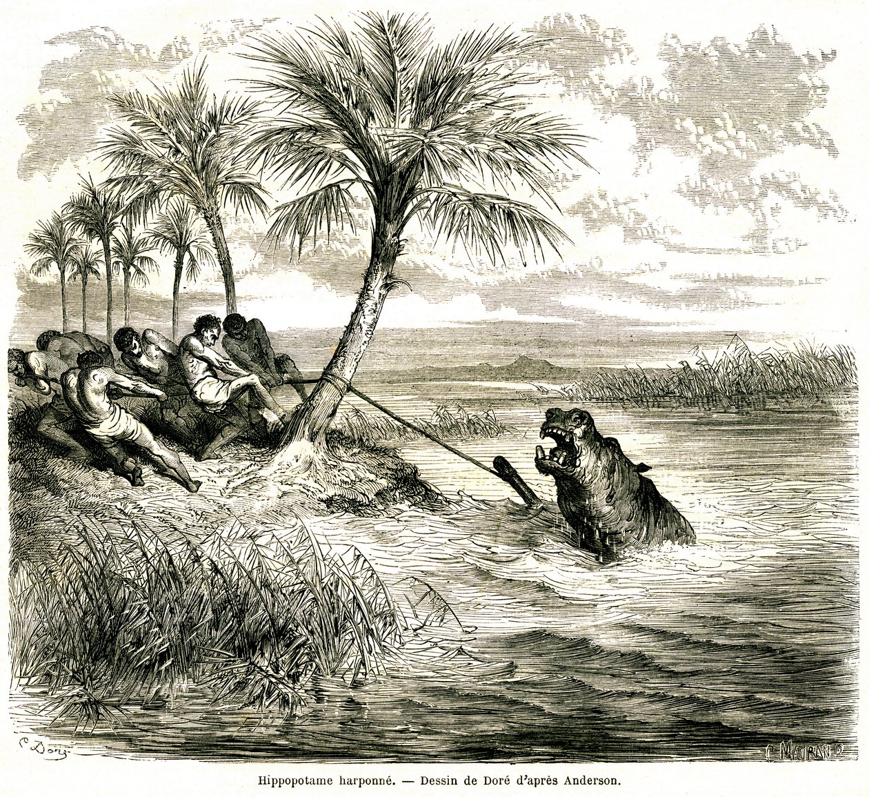 Jagd am Fluss Teoghe, einem Nebenfluss des Ngami. Flusspferd-Harpune. Gravur von Gustave Doré, die die Abenteuer und Jagden des Reisenden Charles-Jean Anderson im südlichen Afrika illustriert, veröffentlicht im Journal Le Tour du Monde von Gustave Dore