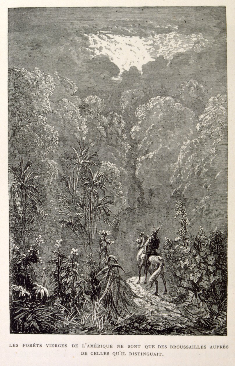 Illustration des amerikanischen Waldes. aus La legende de Croque-Mitaine. von Gustave Dore