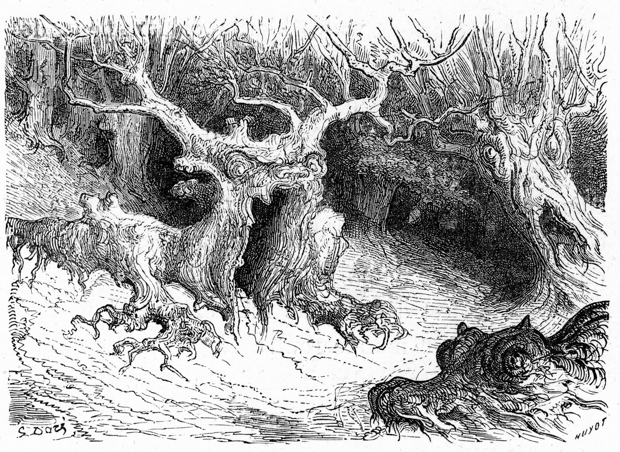 Monströse Buche im Ossau-Tal, anthropomorphe Monsterbäume. Gravur von Gustave Doré zur Illustration des Buches „Voyage aux Pyrénées“ von Hippolyte Taine, Hachette 1860. von Gustave Dore
