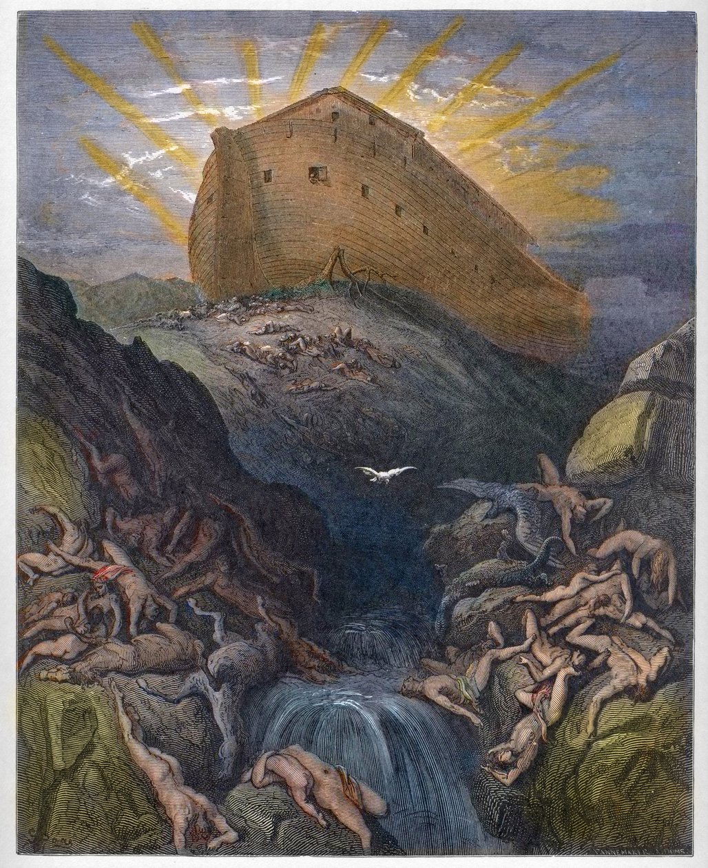 Noahs Arche - Die Taube aus der Arche gesandt - Die Taube aus der Arche Noah gesandt - Gravur aus „Die illustrierte Bibel“ von Gustave Doré (1832-1883) - Gravur aus „Die Doré-Bibel“ von Gustave Dore