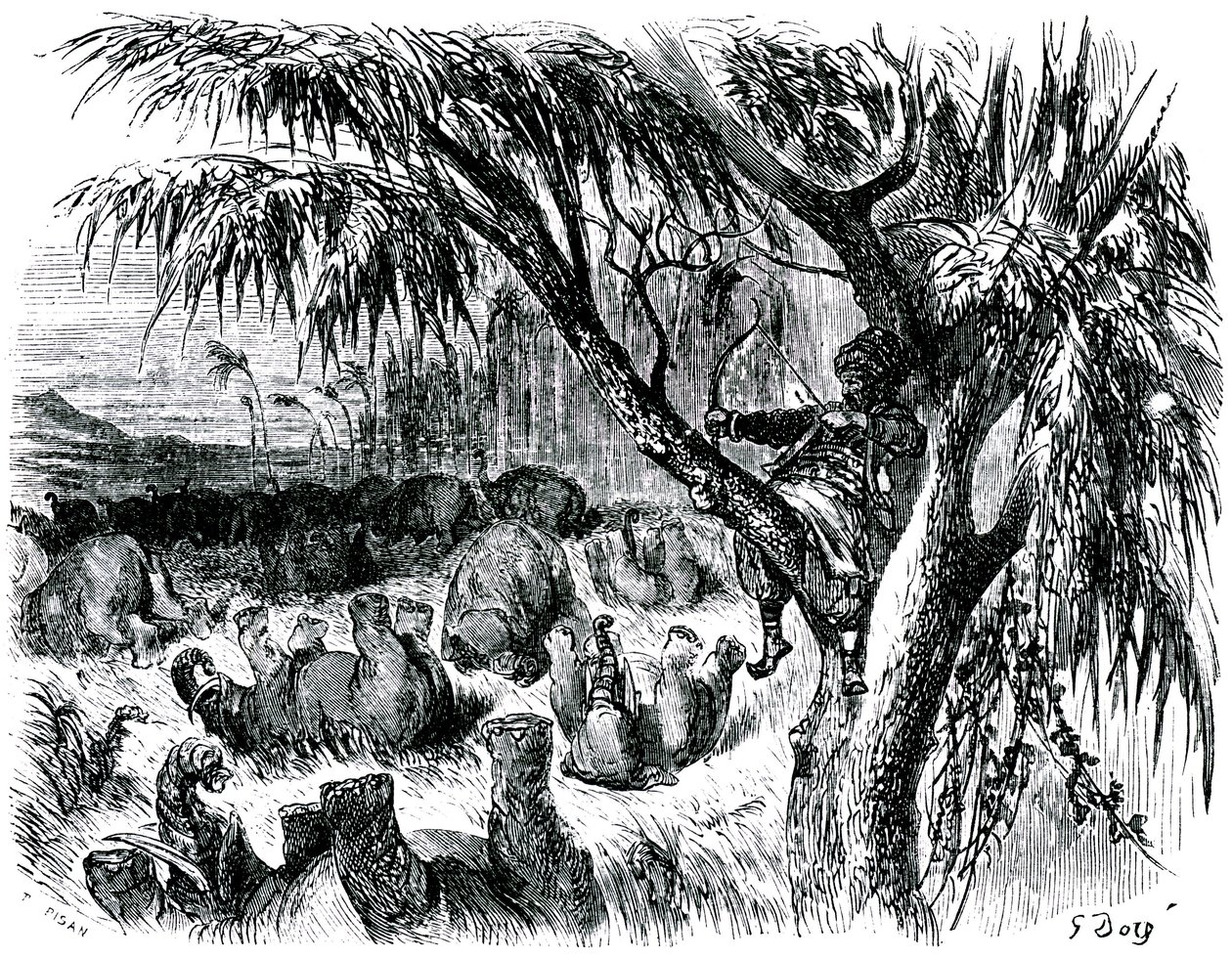 Sindbad der Seefahrer - Märchen aus Tausendundeiner Nacht - Illustration von Gustave Doré - Maxwell-Ausgabe 1865 - Siebte Reise: Sindbad schießt von einem Baum aus mit seinem Bogen auf Elefanten von Gustave Dore