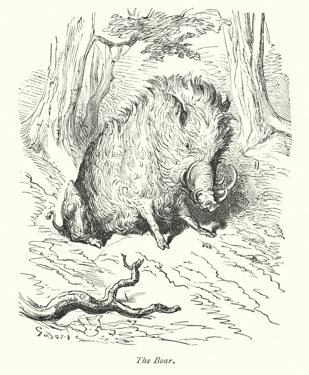 Der Eber (Gravur) von Gustave Dore