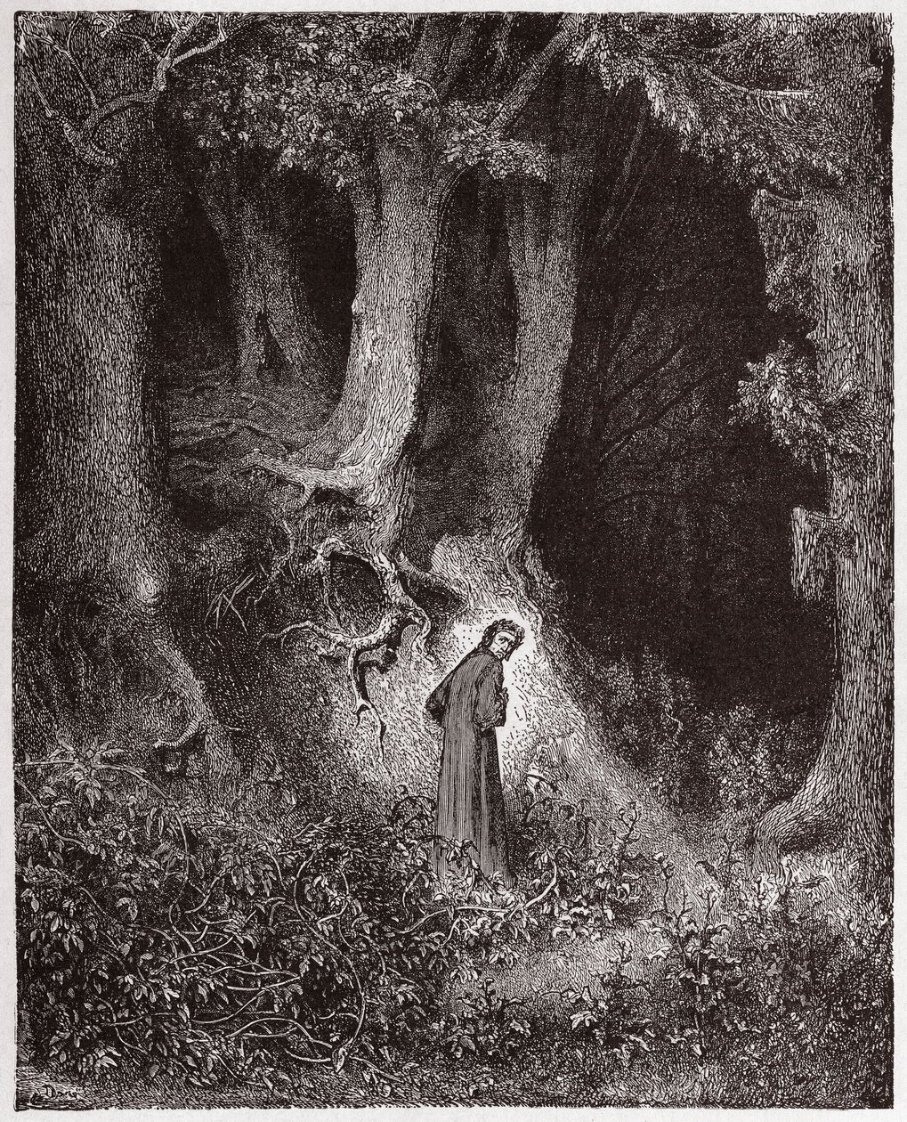 Die Göttliche Komödie (La Divina Commedia), Inferno, Gesang 1: Dante im wilden Wald - von Dante Alighieri (1265-1321) - Illustration von Gustave Doré (1832-1883) von Gustave Dore