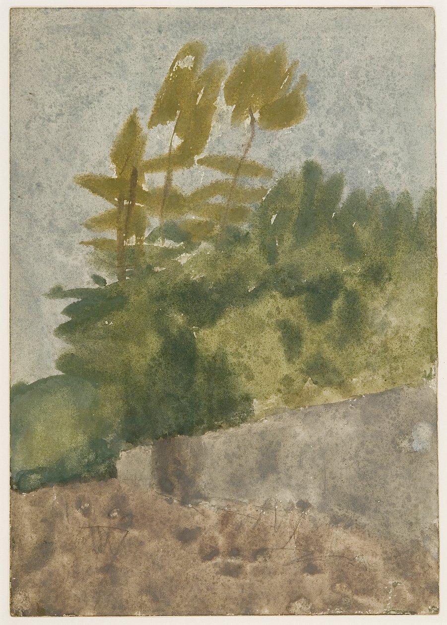 Bäume von Gwen John
