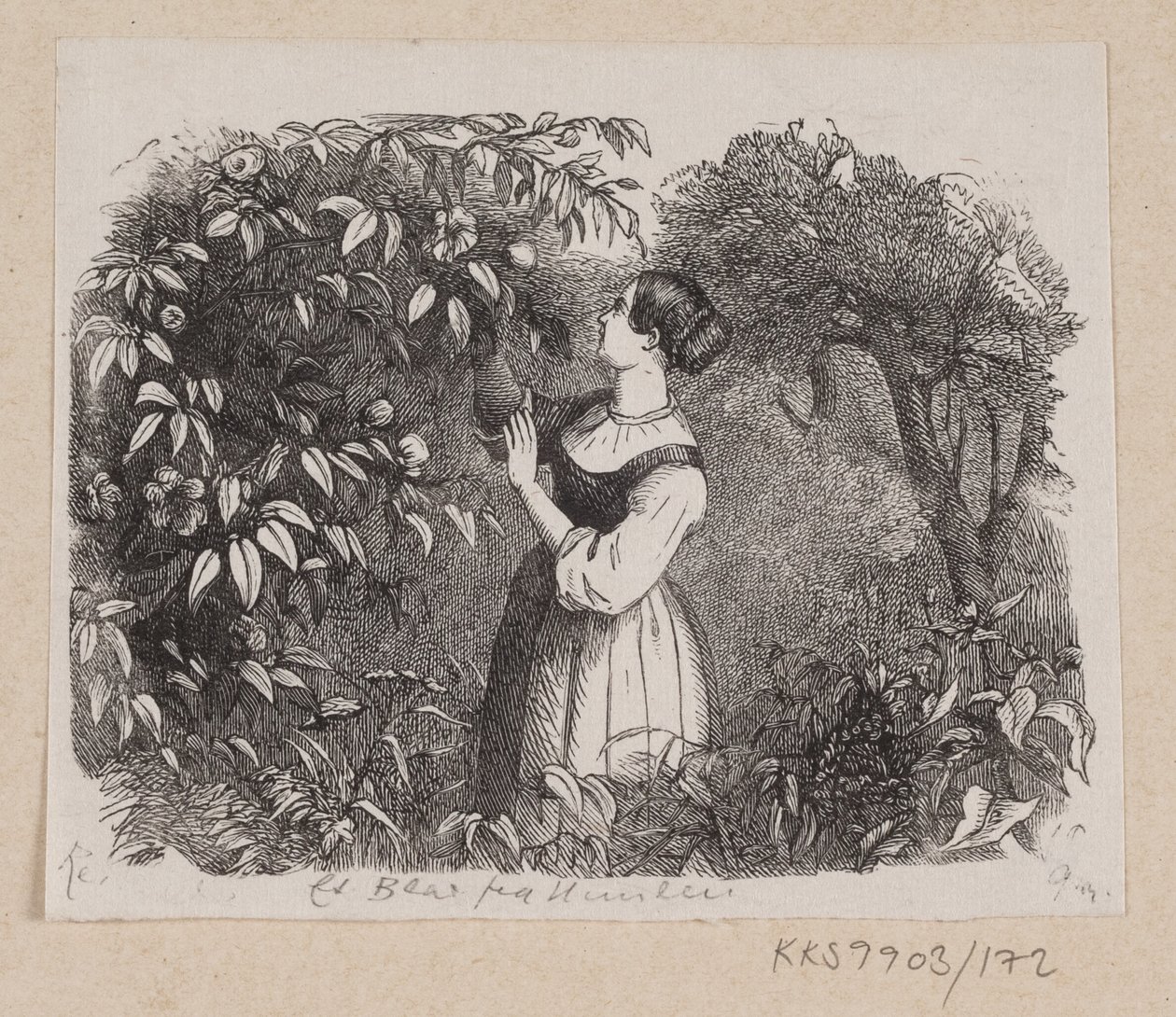 Illustration zu "Ein Blatt vom Himmel" in H.C. Andersen, "Märchen und Geschichten", Band 2 von H.P. Hansen