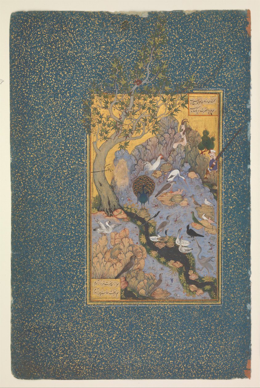 Seite aus einem Manuskript von Mantiq al-Tayr (Konferenz der Vögel) von Habiballah of Sava