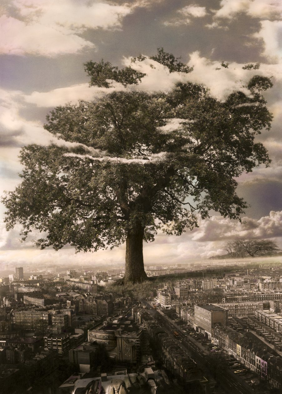 Der Baum in Islington von Hag Hag