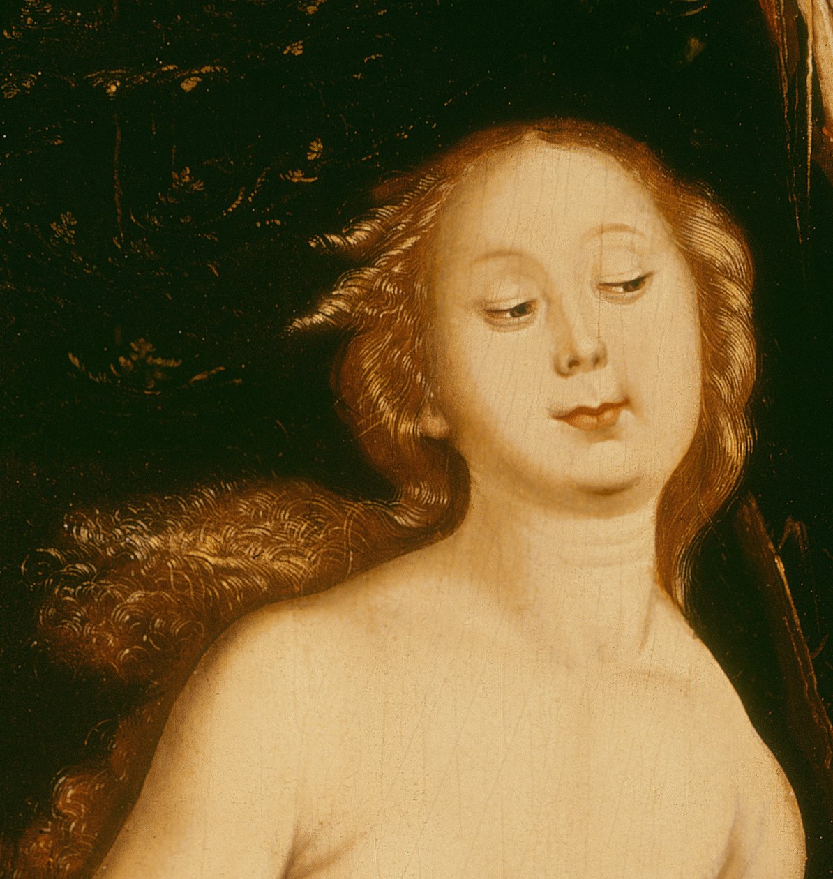 (Detail) von Eva, die Schlange und der Tod von Hans Baldung Grien
