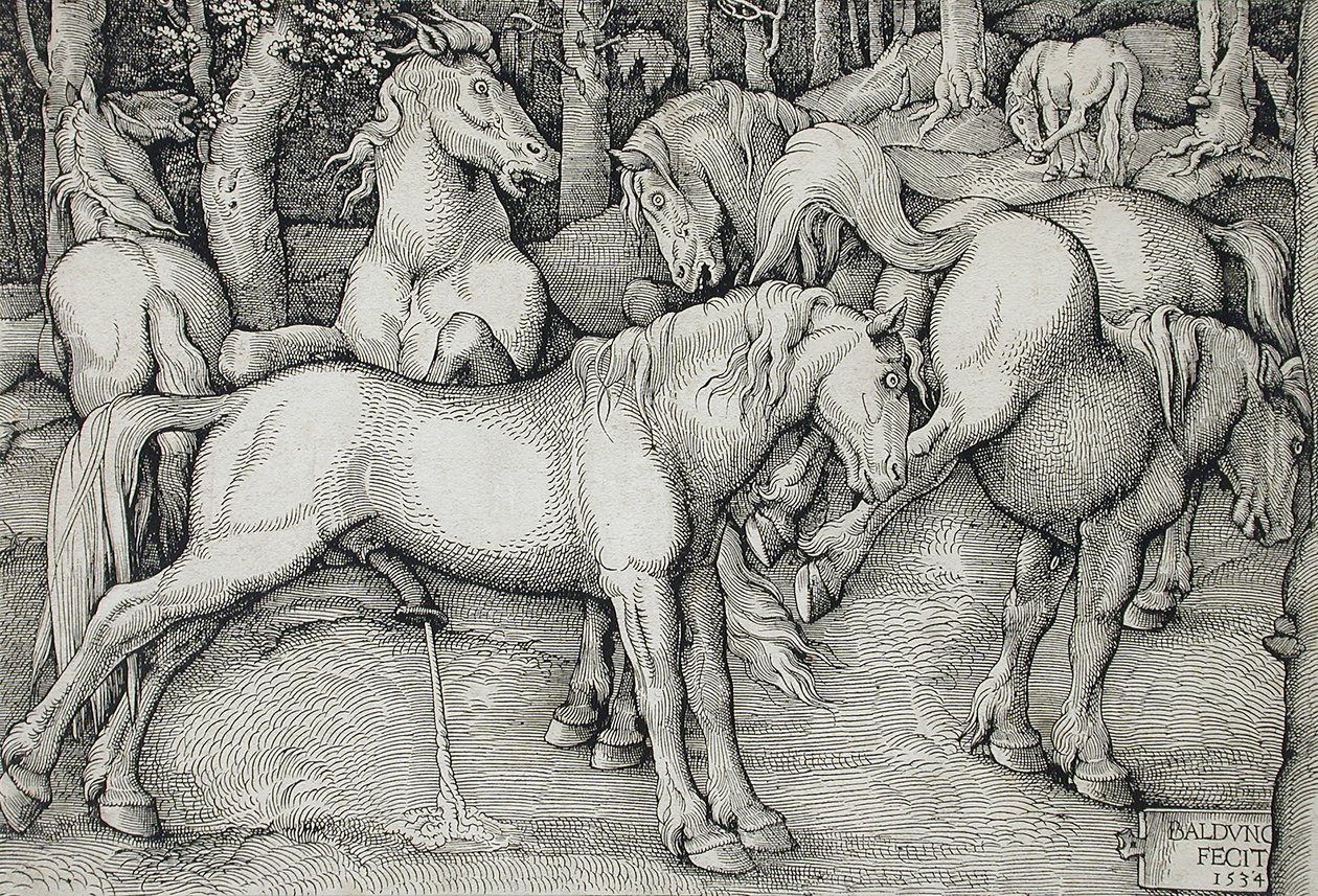 Hengst und abschlagende Stute inmitten einer Gruppe von Wildpferden im Wald von Hans Baldung Grien