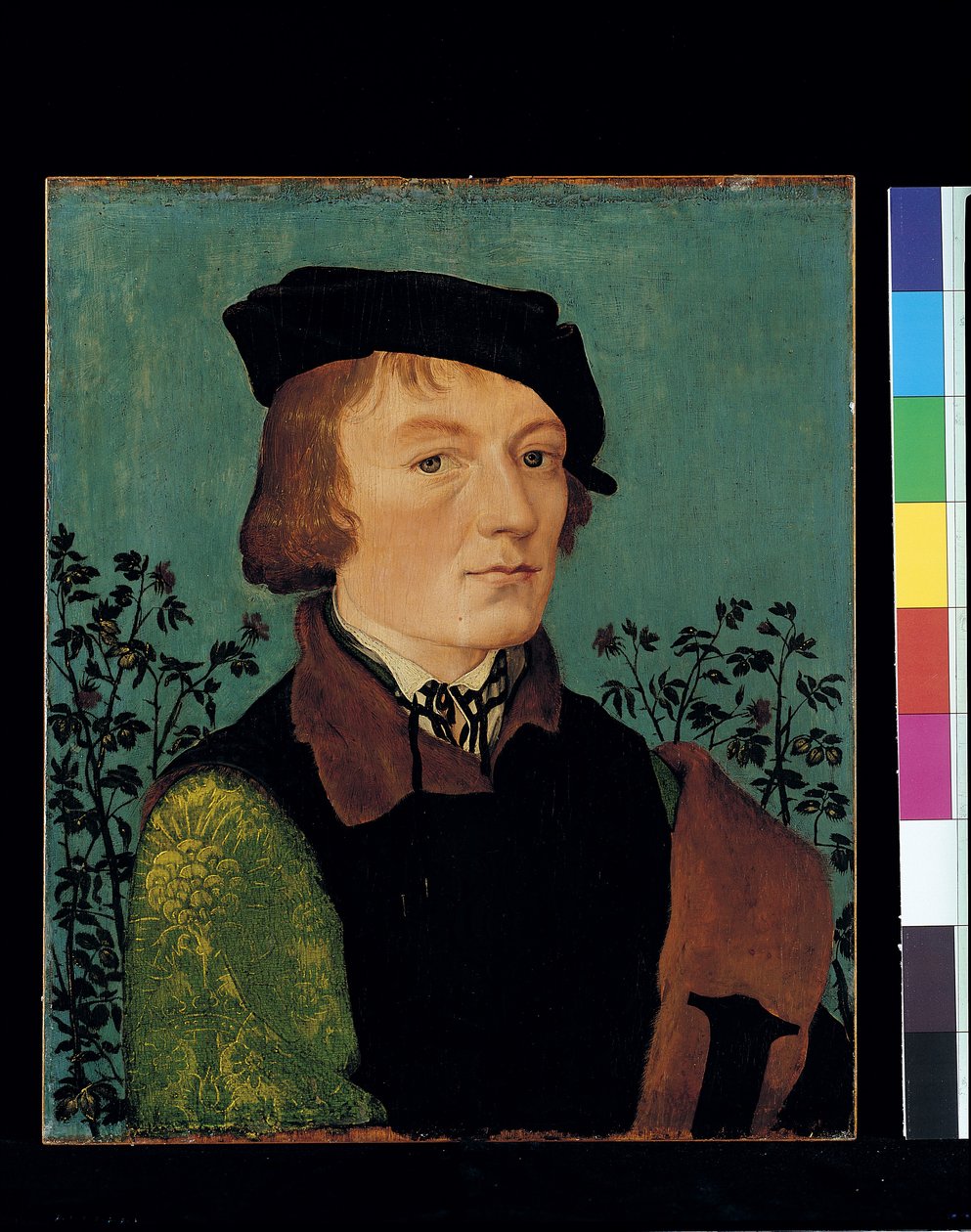 Porträt eines Mannes vor einer Rosenhecke von Hans Baldung Grien