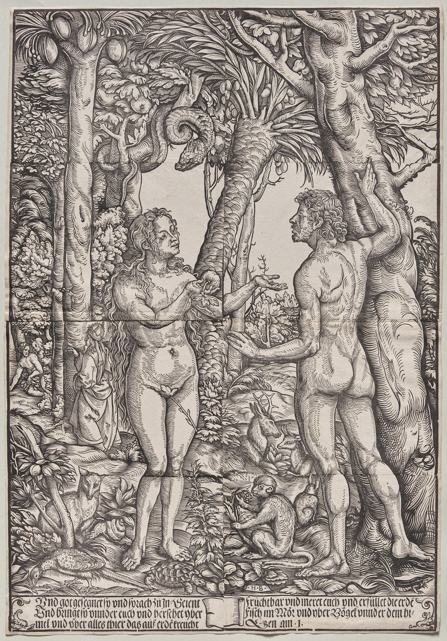 Der Sündenfall von Adam und Eva von Hans Burgkmair