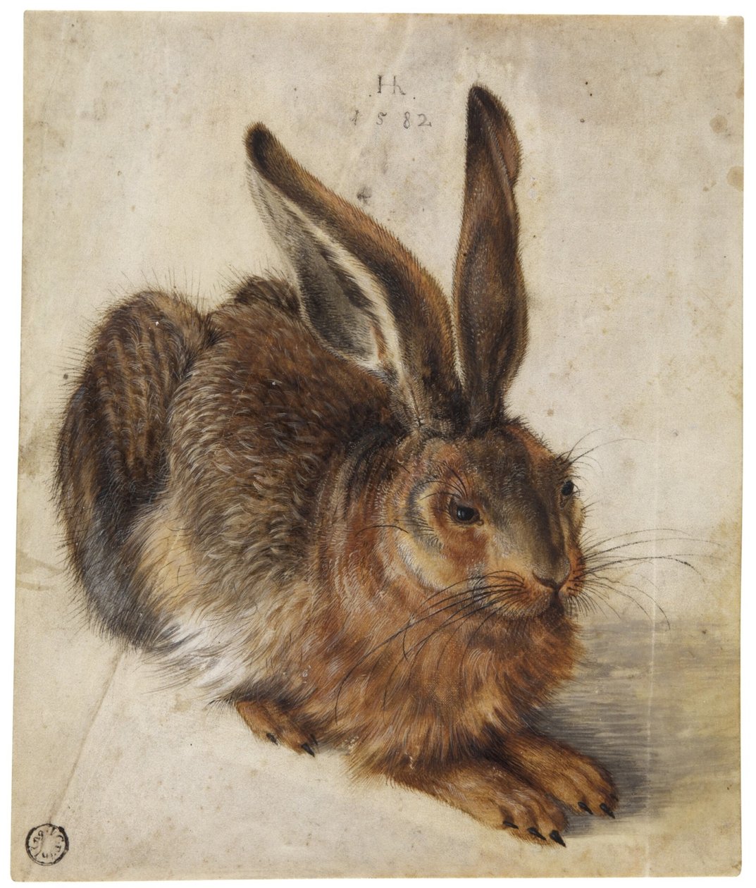 Ein Hase von Hans Hoffmann