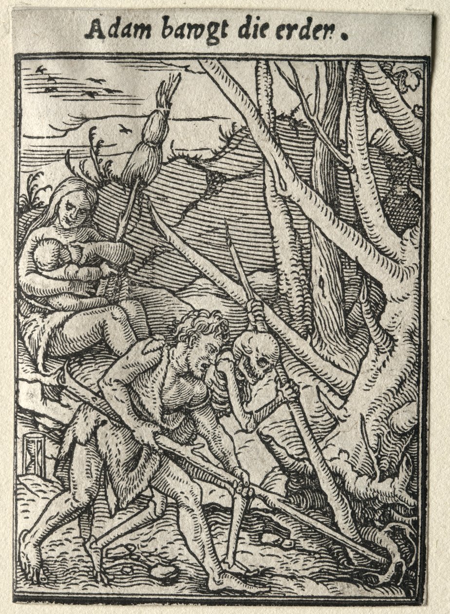 Totentanz: Adam pflügt das Feld von Hans Holbein