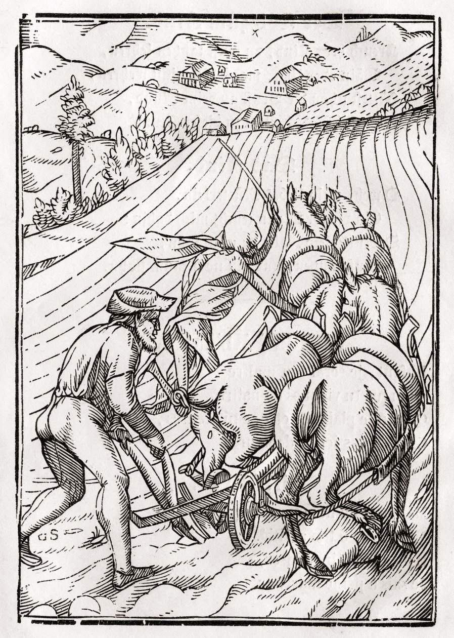 Der Tod kommt für den Bauern oder Landwirt, graviert von Georg Scharffenberg, aus 