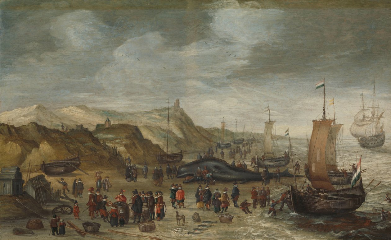 Ein Pottwal am Strand von Noordwijk, 28. Dezember 1614 von Hans Savery (I) (attributed to)