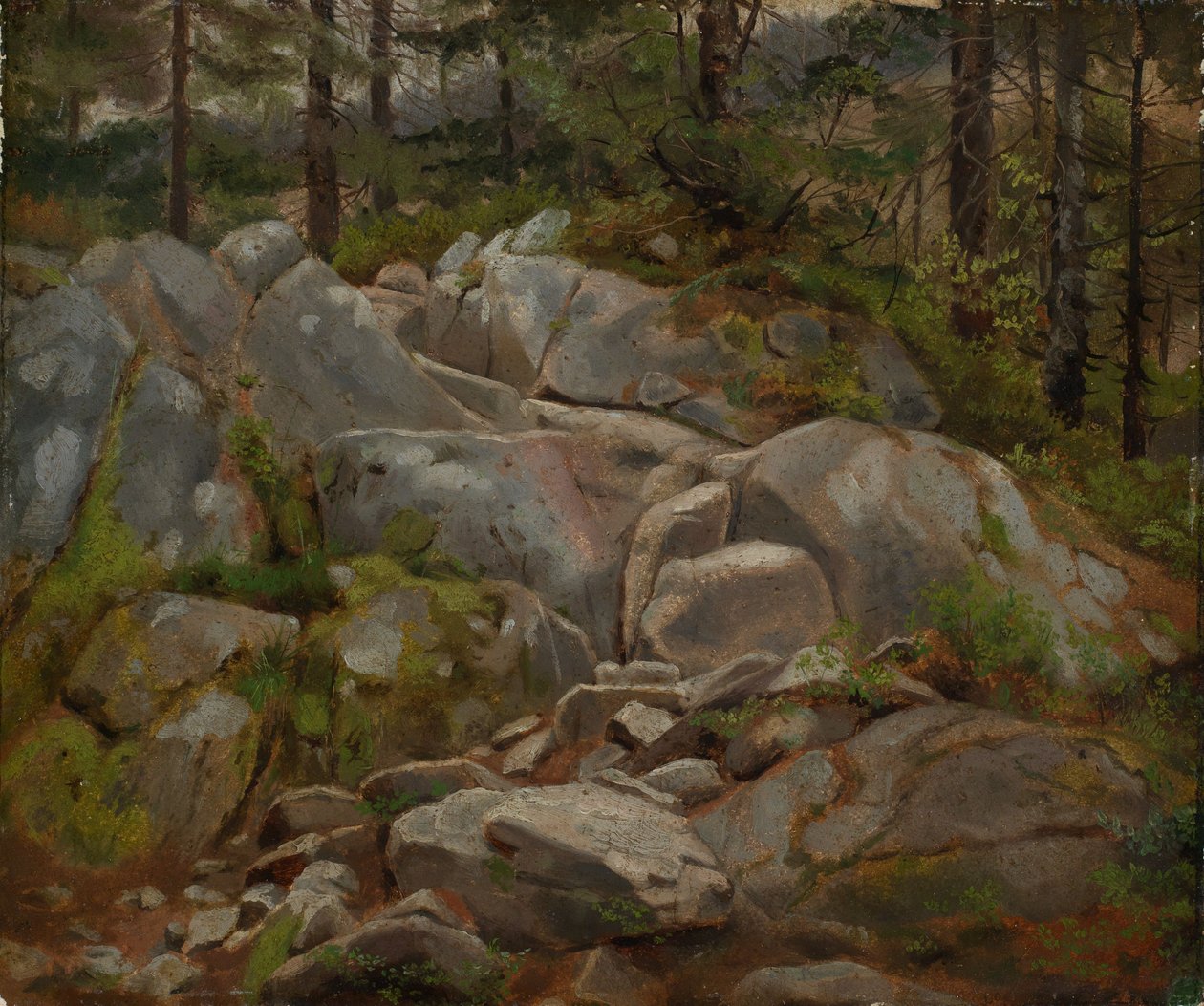 Felsblöcke mit Tannenstämmen von Hans Thoma