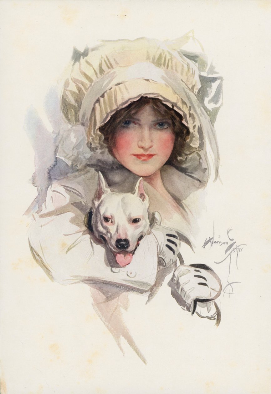 Ein schwer fassbarer Charme von Harrison Fisher