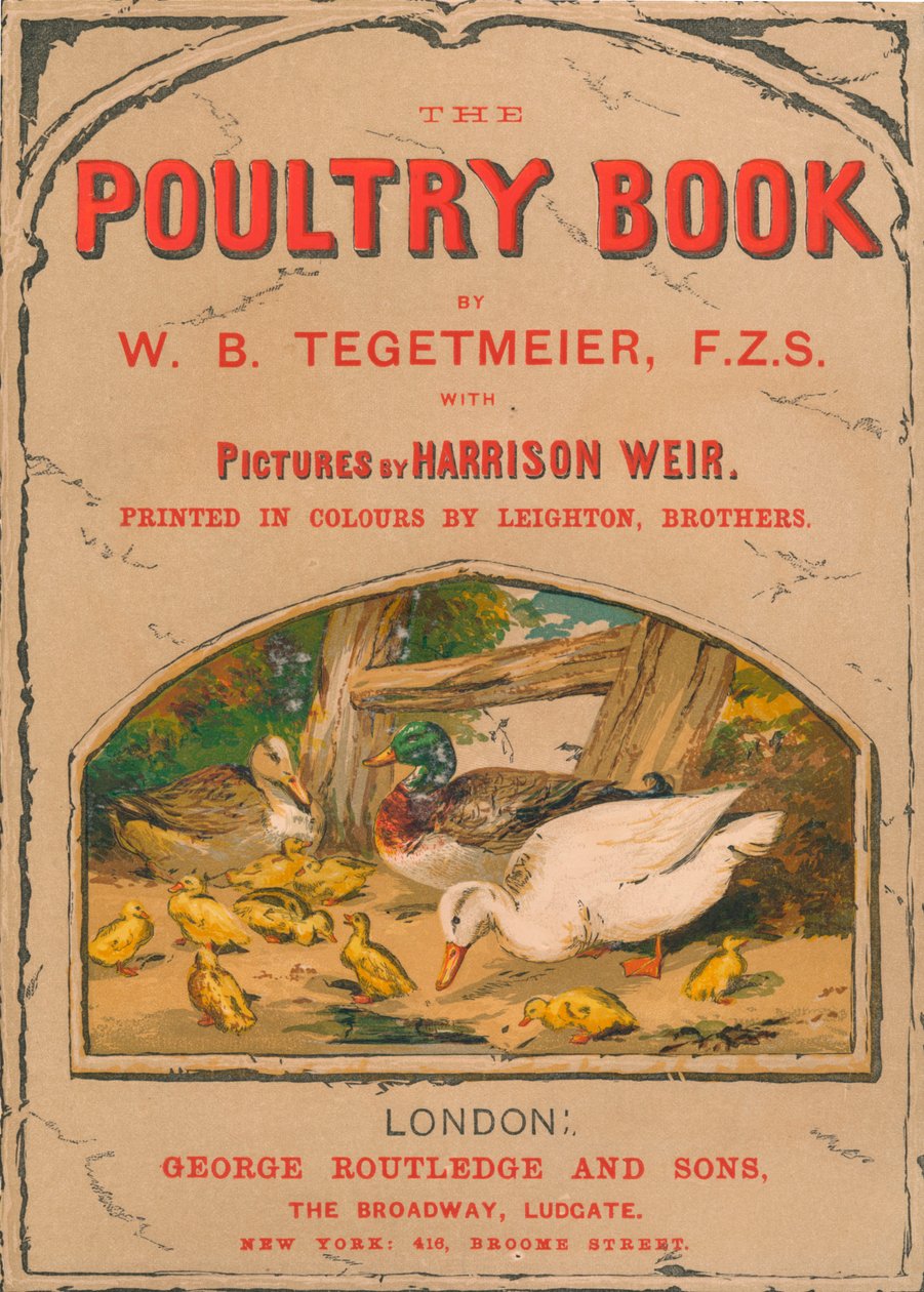Das Geflügelbuch, 1867 von Harrison Weir
