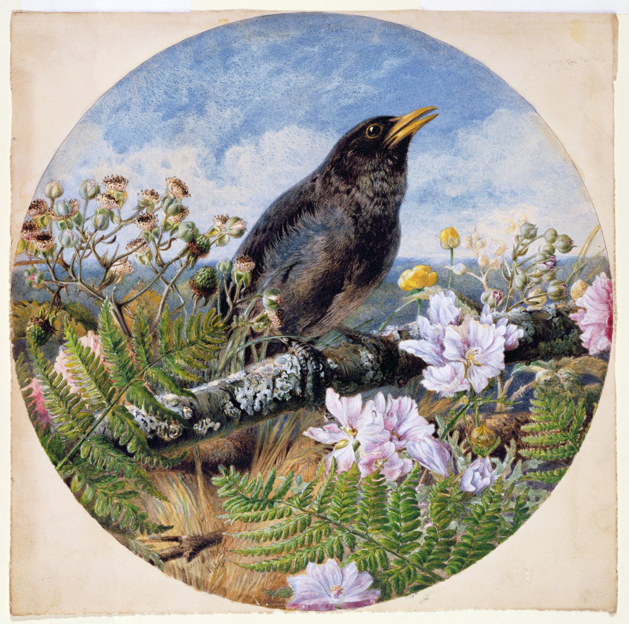 Amsel, 1864 von Harrison William Weir