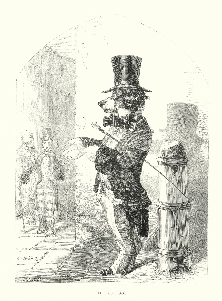 Lustige Hunde: Der schnelle Hund (Gravur) von Harrison William Weir