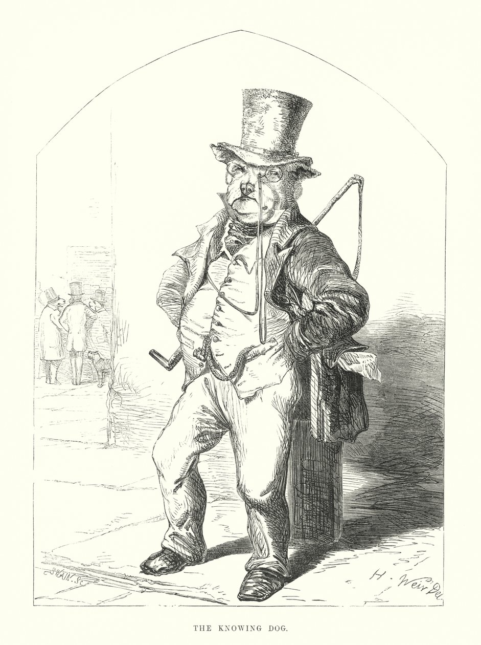 Lustige Hunde: Der wissende Hund von Harrison William Weir